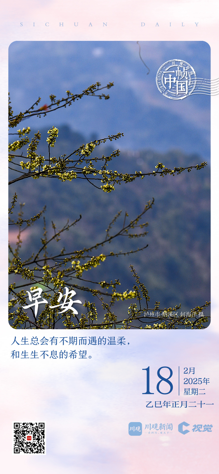场焦点